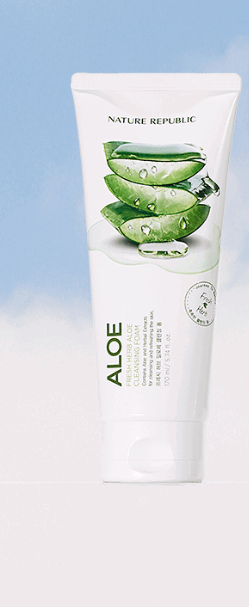 NATURE REPUBLIC-Fresh Herb Cleansing Foam 170ml (4type)