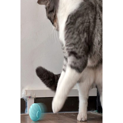 Smart Pet Products for Playing Cat Balls