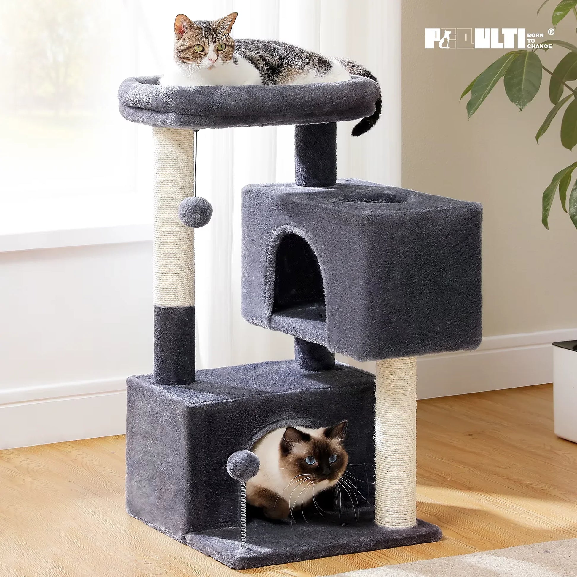 Cat Tree for Large Cats Cat Tower for Indoor 967bf9da60cce3bf847f621c722ec4eb kt168shophk