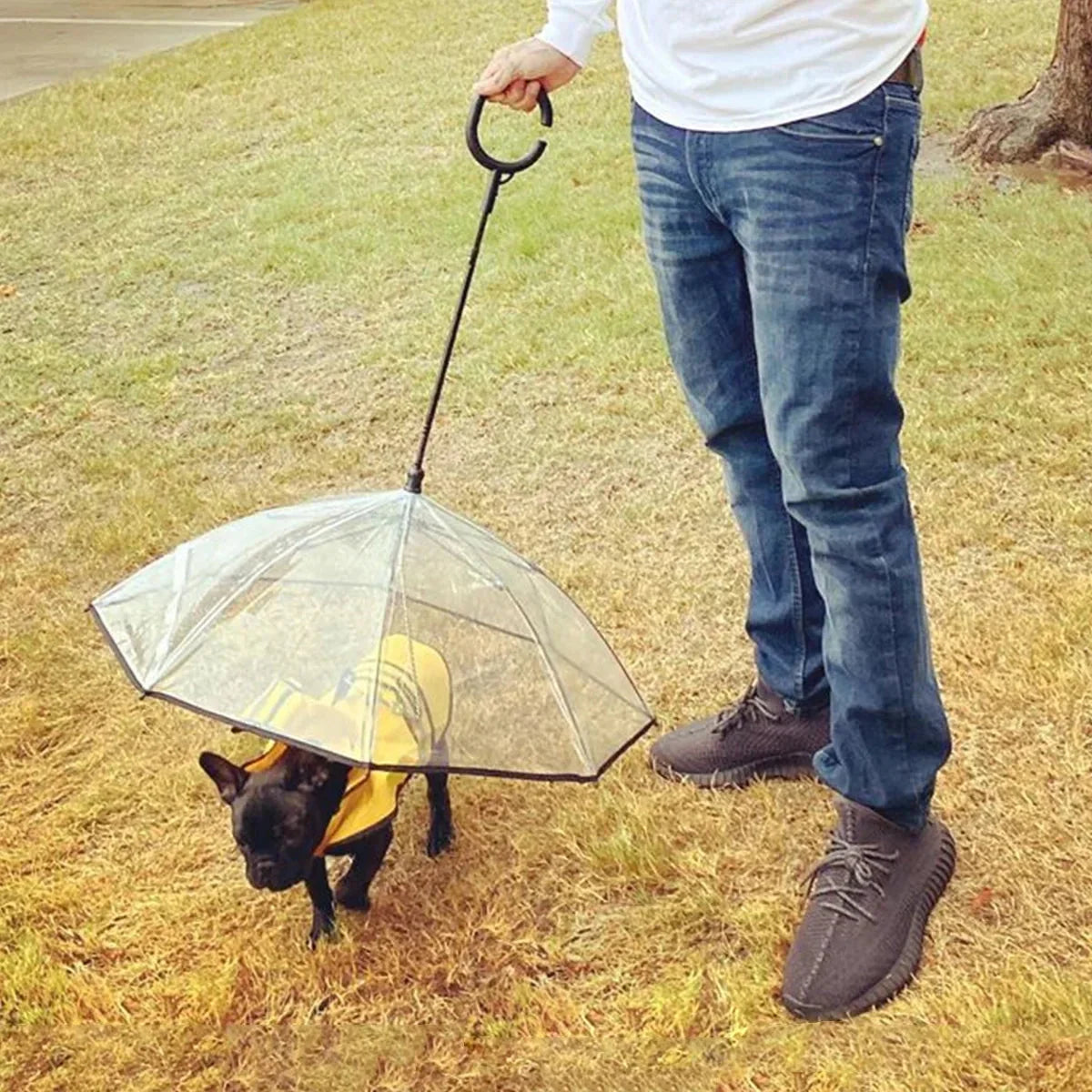 Dog Umbrella bcd245e21af27abe3c9218f7e7a938b3 kt168shophk