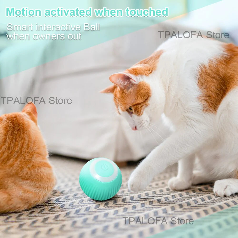 Smart Cat Toys Electric Cat Ball Automatic Rolling Ball Cat Interactive Toys Pets Toy for Cats Indoor Playing Cat Accessories cc370f069d709a9ad676df4b478632b2 kt168shophk
