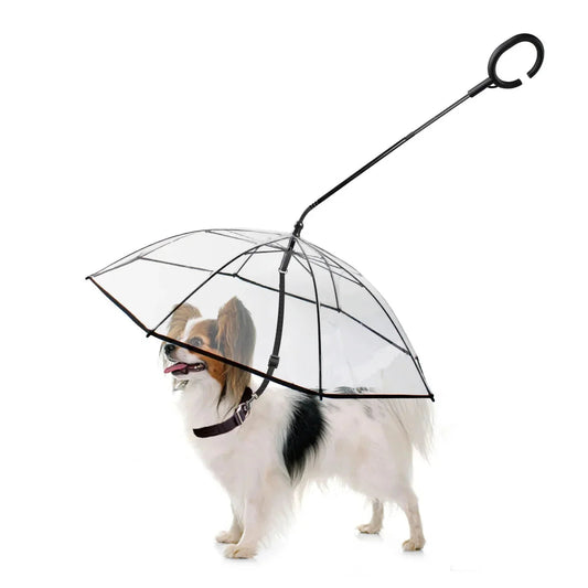 Dog Umbrella Default Title fefd9394520ac878c8dea4bd21866aca_78baa176-ef02-4a01-9d29-2be590cf5560 kt168shophk